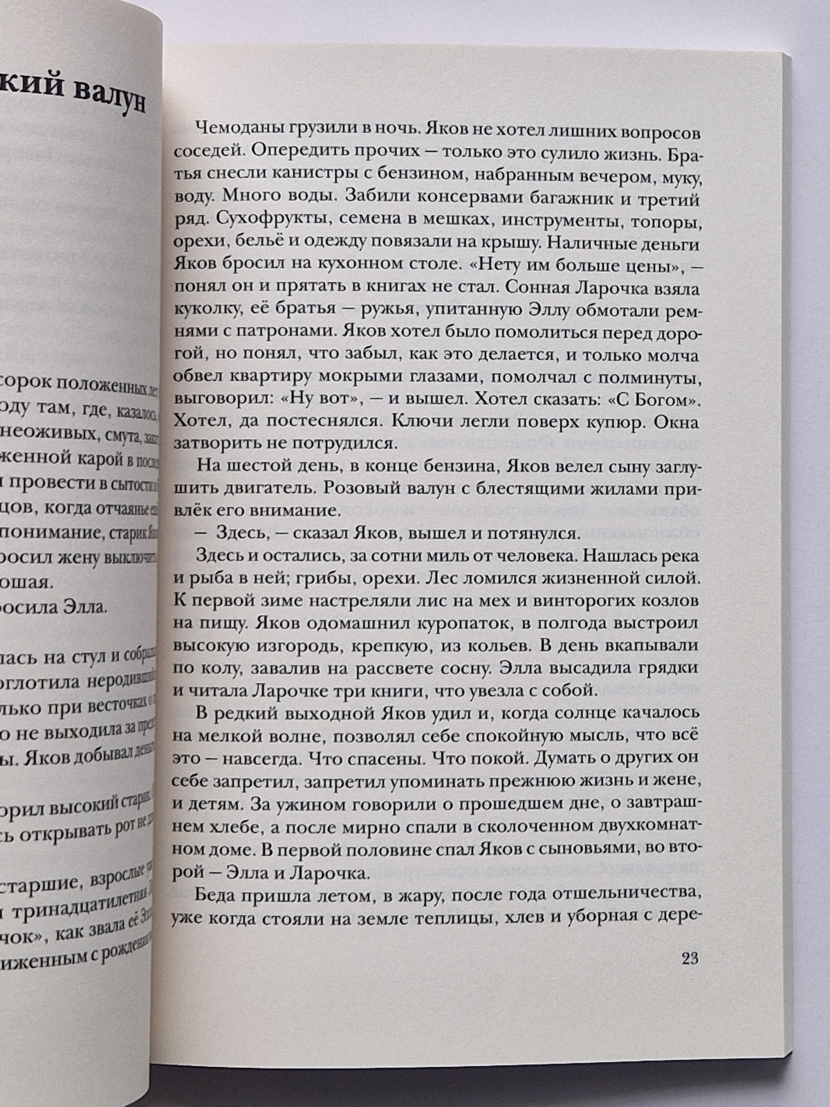 Холь
