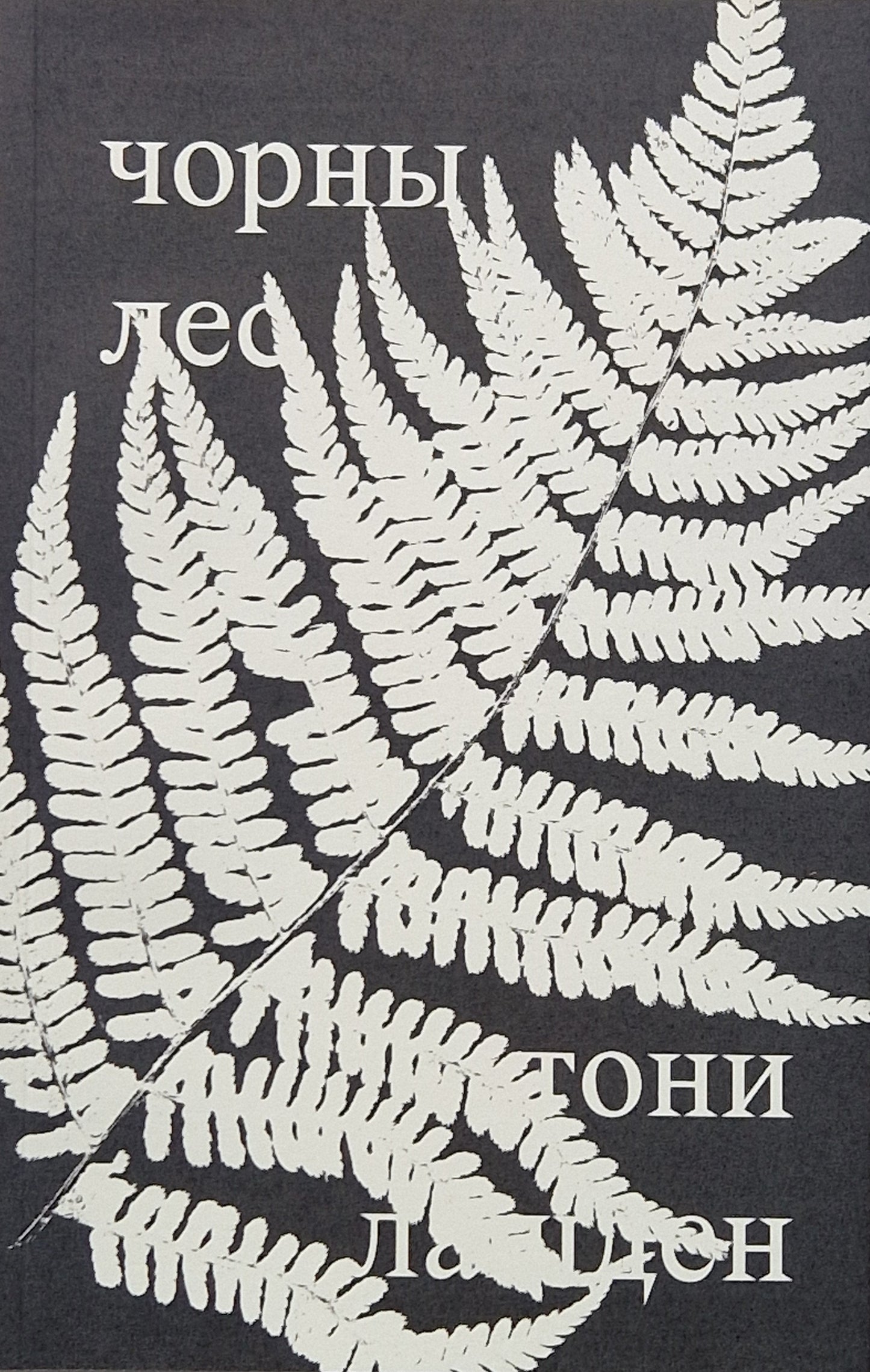 чорны лес