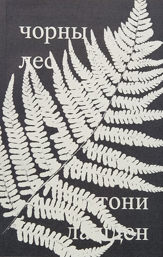 чорны лес