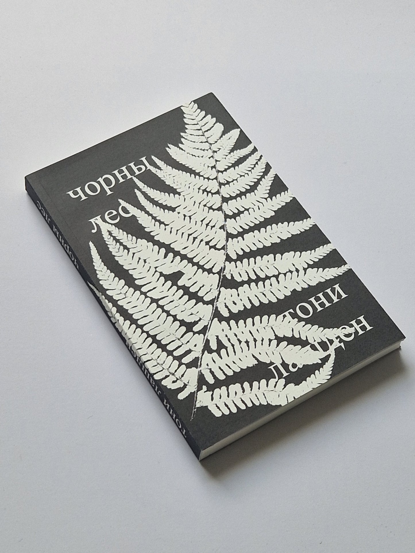 чорны лес