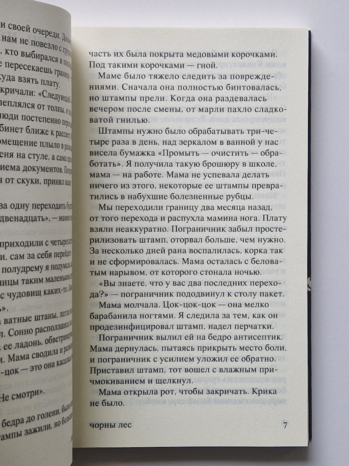 чорны лес
