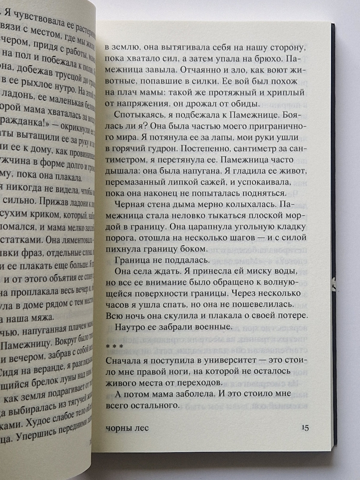 чорны лес