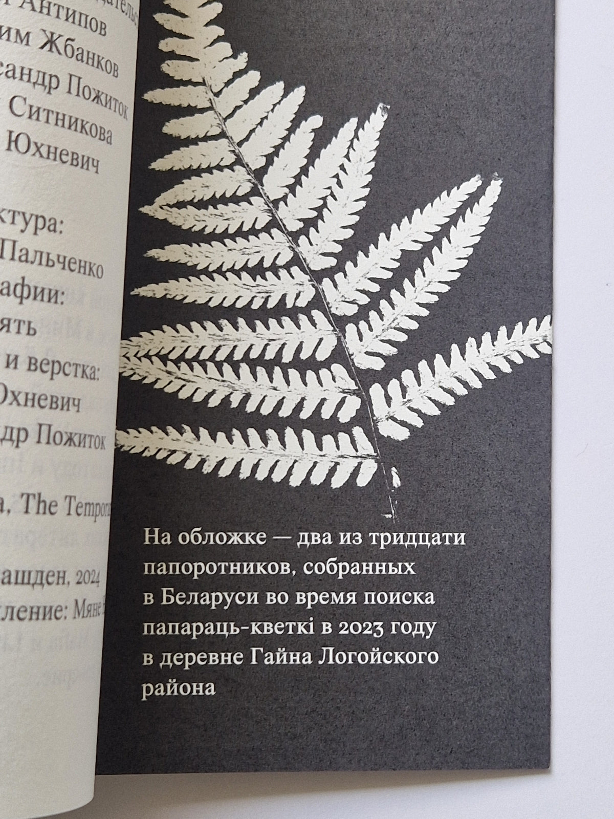 чорны лес
