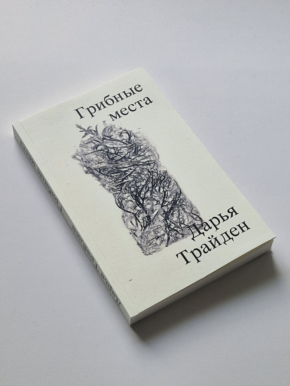 Грибные места