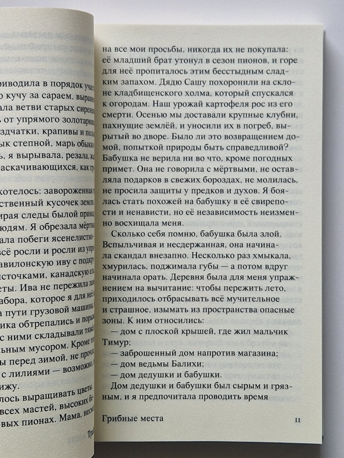 Грибные места