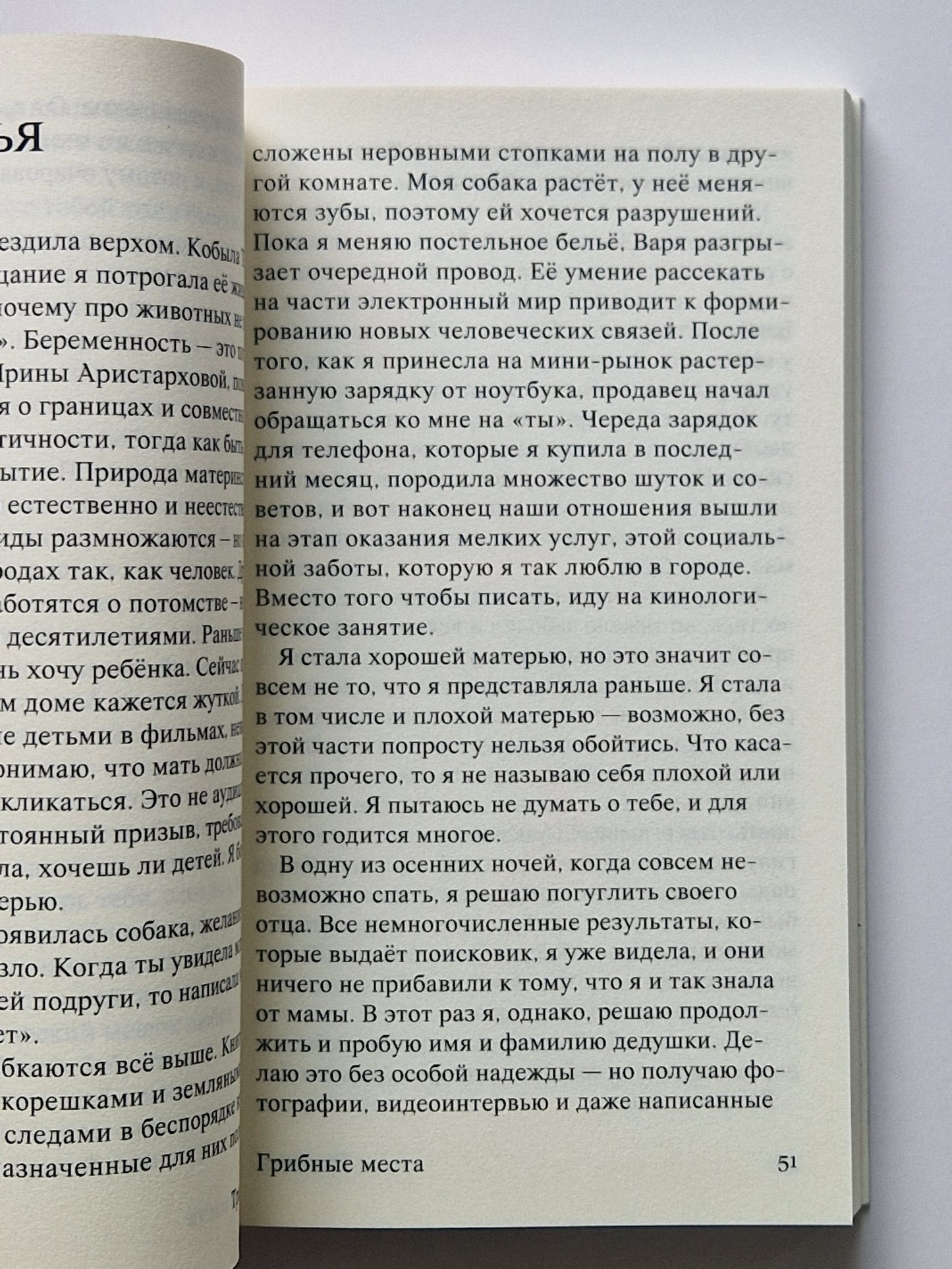 Грибные места