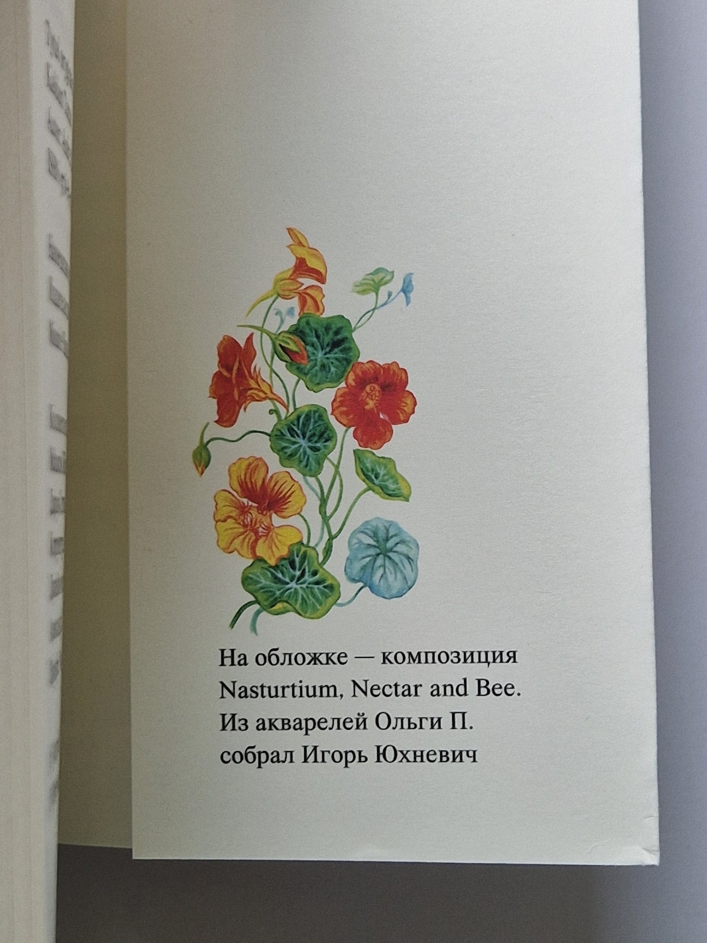 Колдун Тамат
