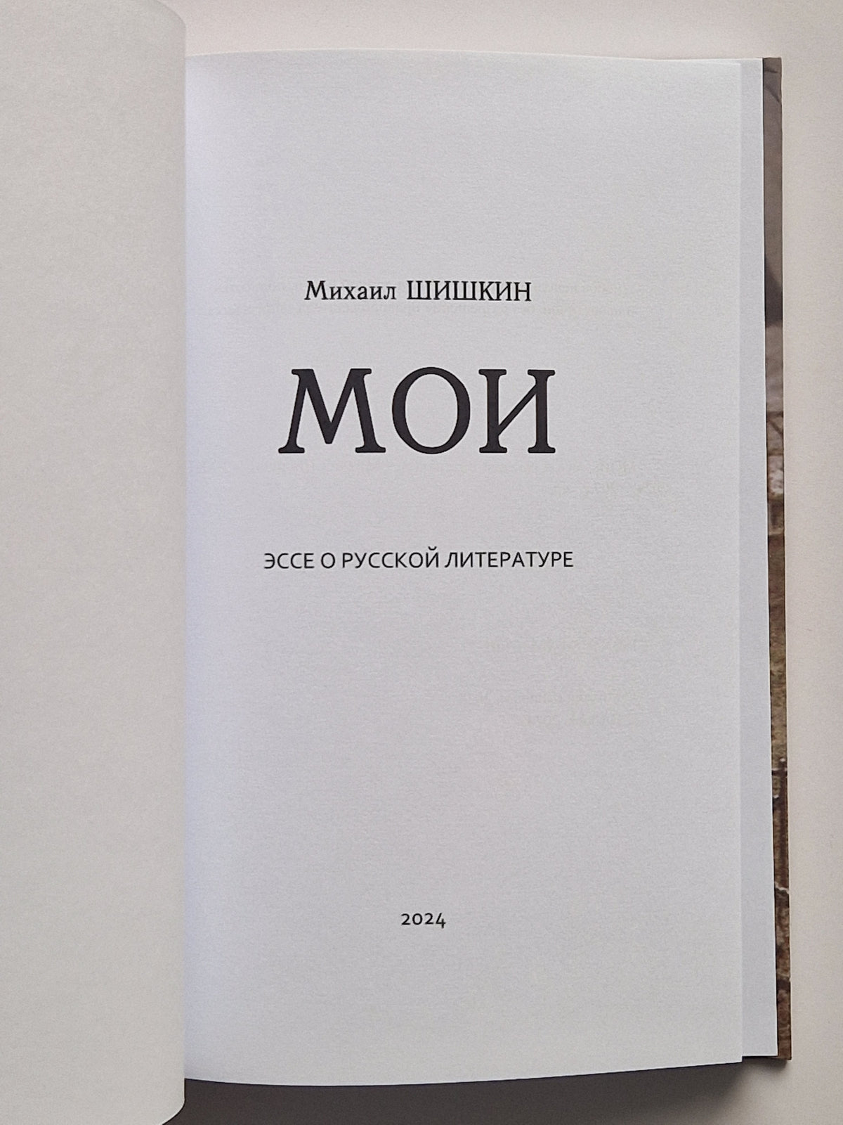 МОИ. Эссе о русской литературе