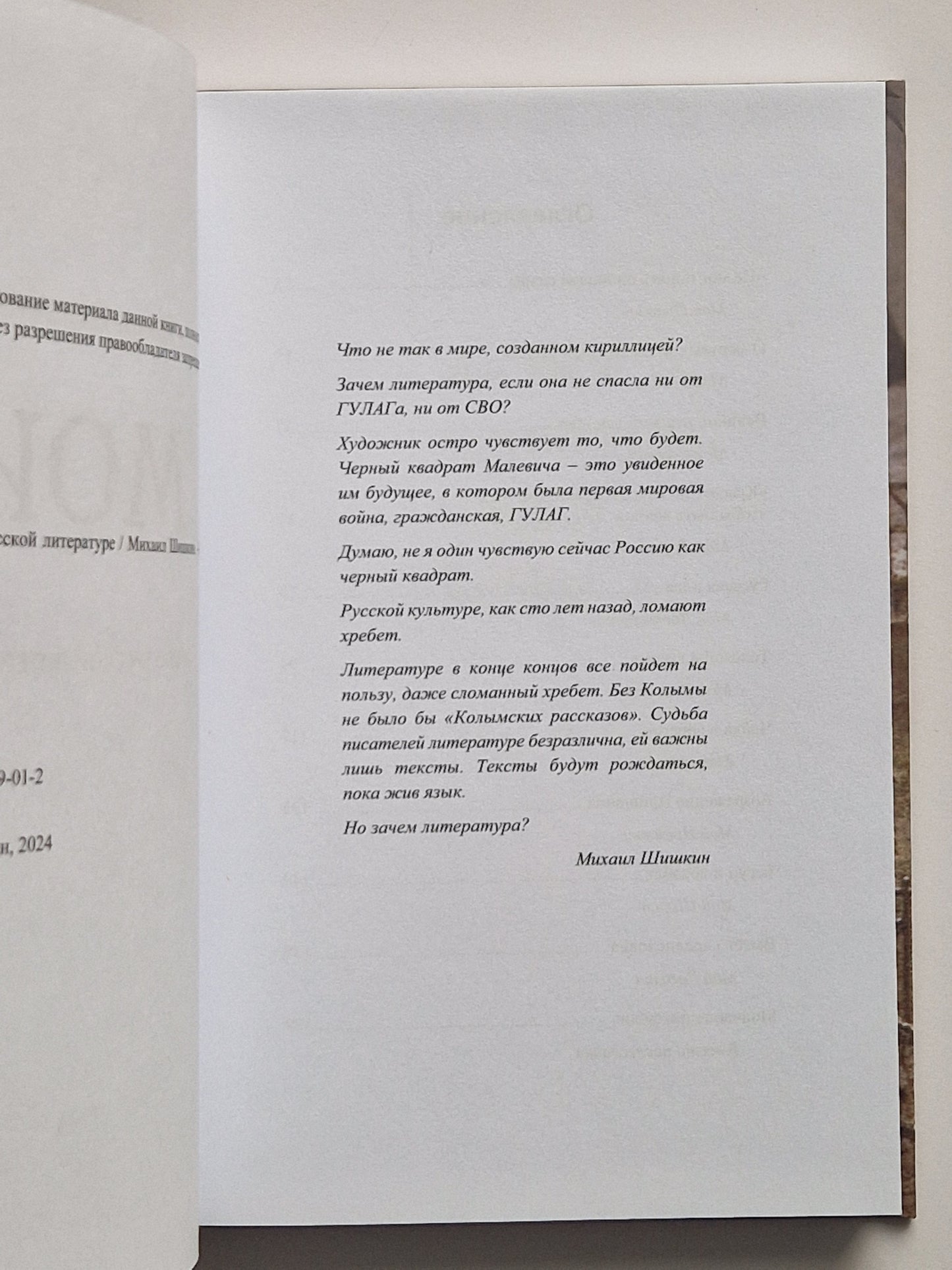 МОИ. Эссе о русской литературе