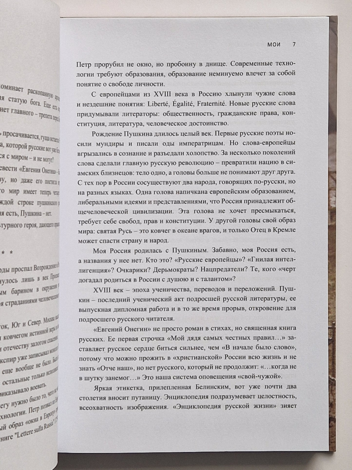 МОИ. Эссе о русской литературе