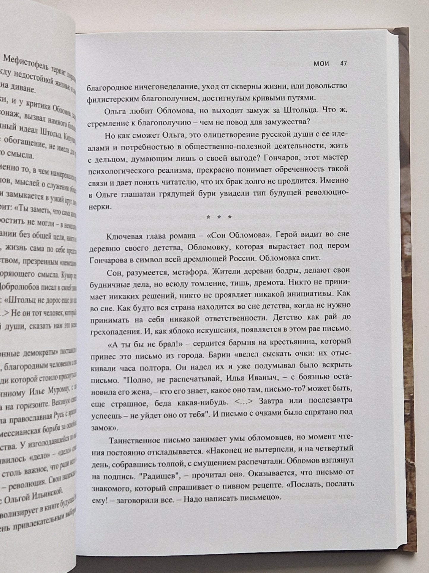МОИ. Эссе о русской литературе