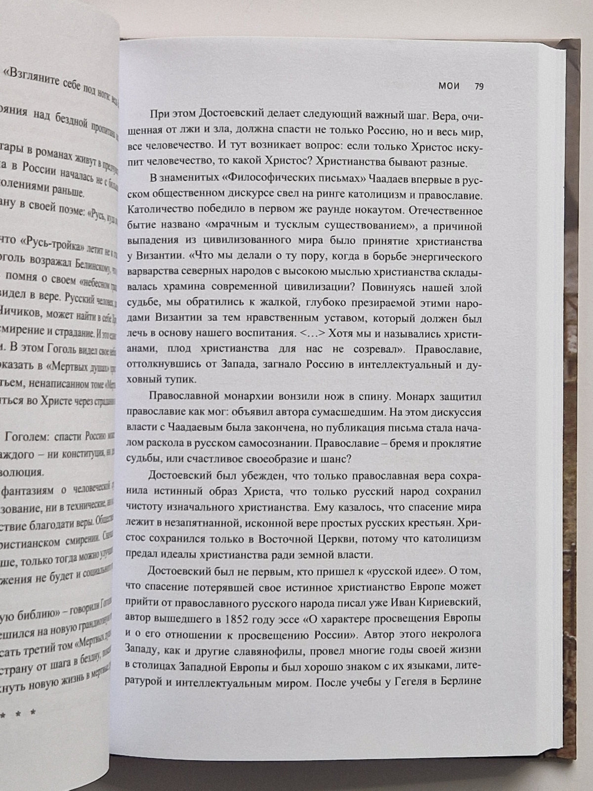 МОИ. Эссе о русской литературе