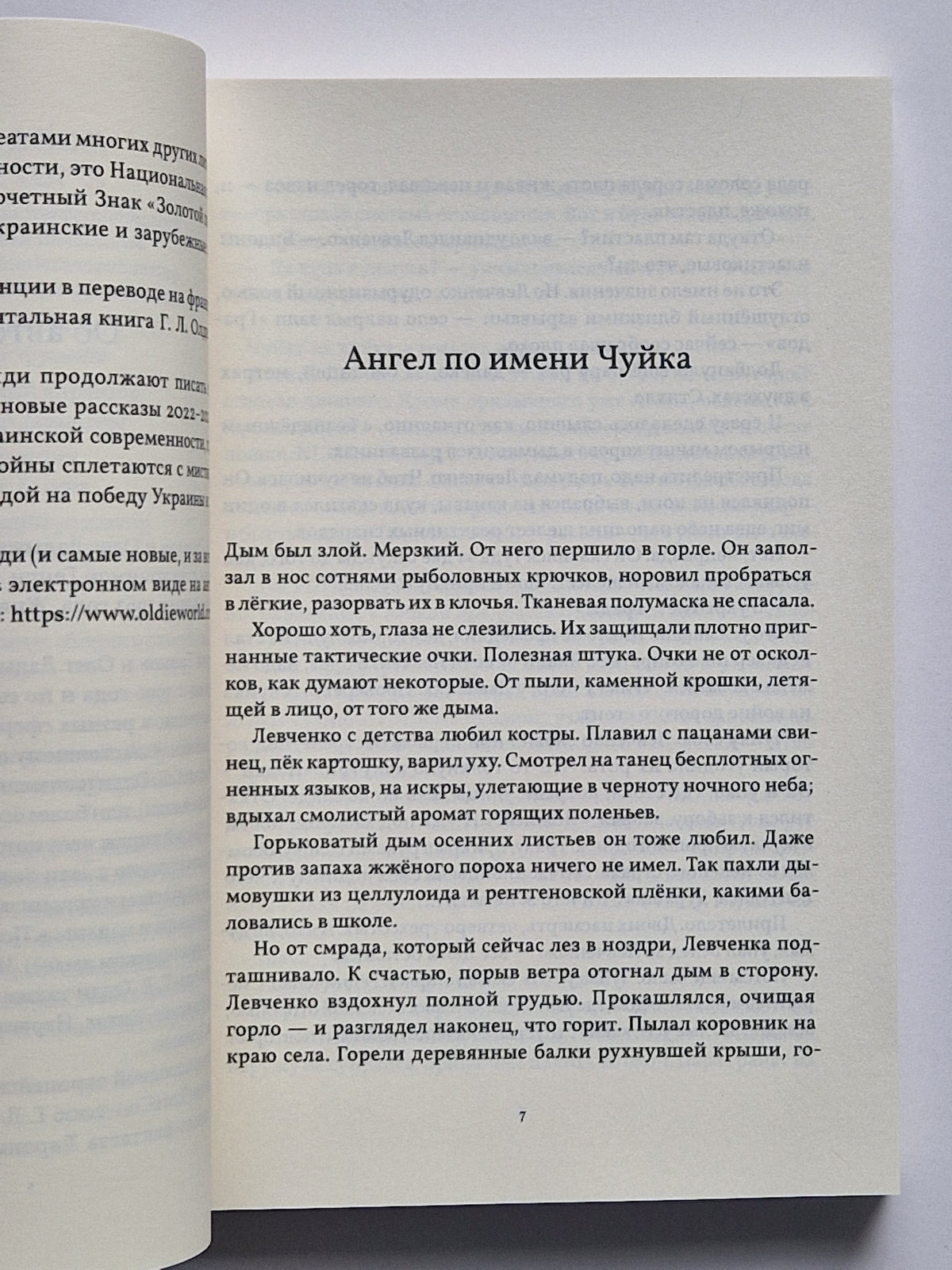 Дверь в зиму