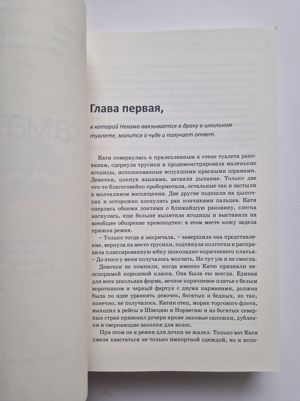 Суд Соломона. Семейные хроники