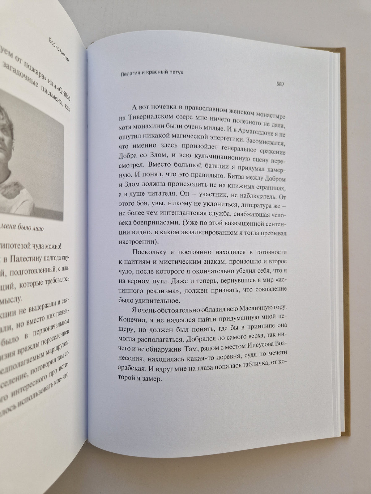 Пелагия и красный петух (Роман с расшифровкой)