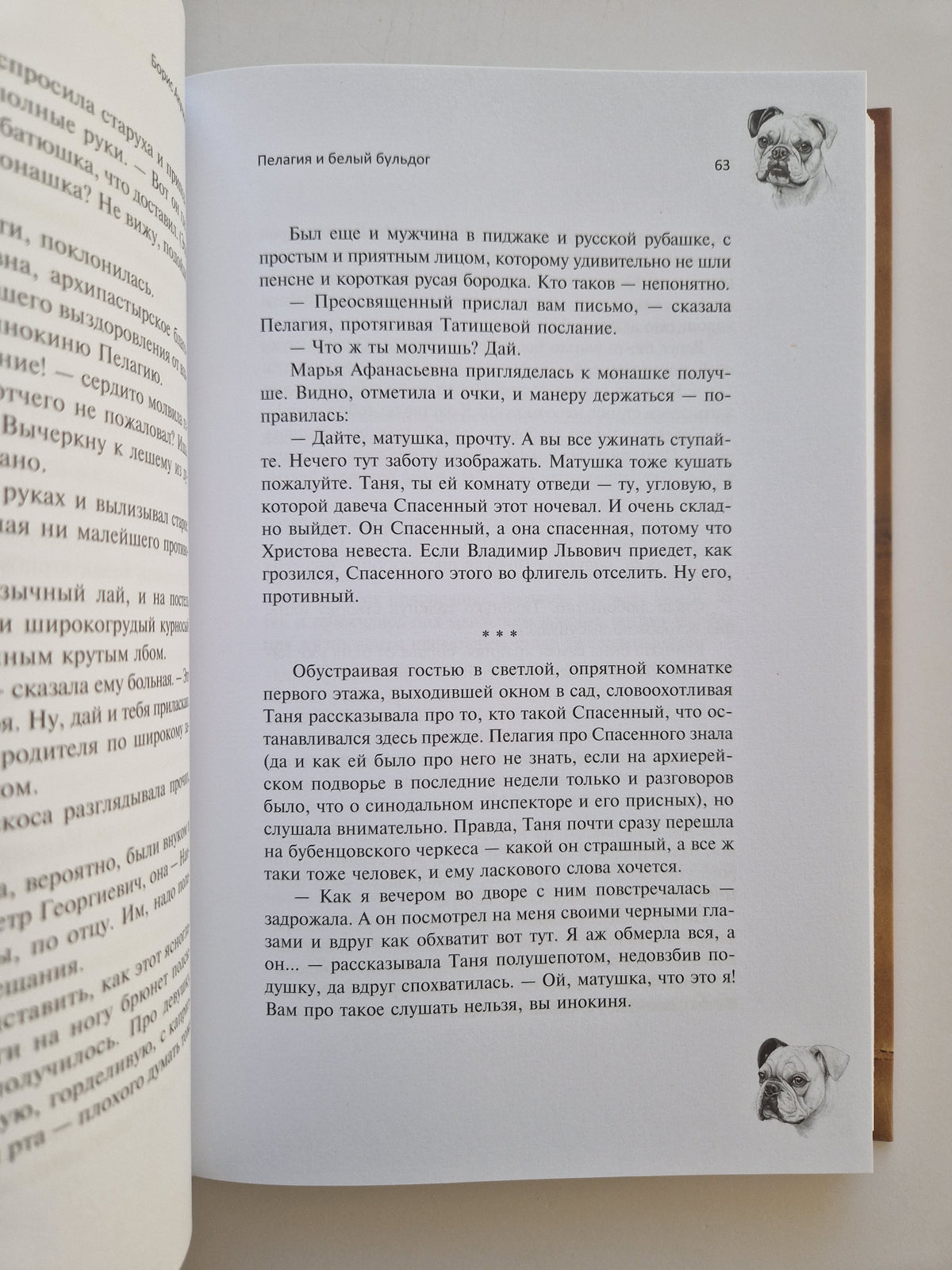 Пелагия и белый бульдог (Роман с расшифровкой)