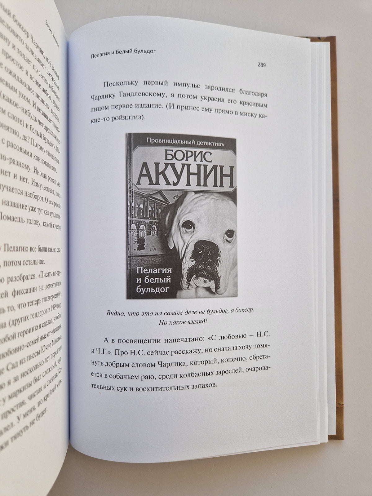 Пелагия и белый бульдог (Роман с расшифровкой)